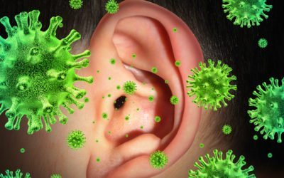 Another Autism Theory