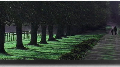 Patient Testimonials about Biomedical Autism Treatments